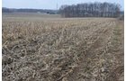 Property photo 1 - 98+/- Acres Offered in 6 Tracts or Combinations, Noble County, Indiana Farm
